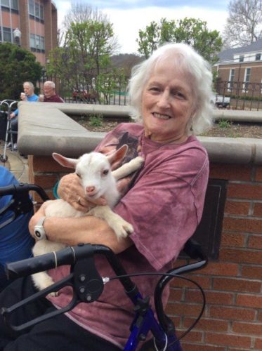 Welty Residents Spend Time With Baby Animals